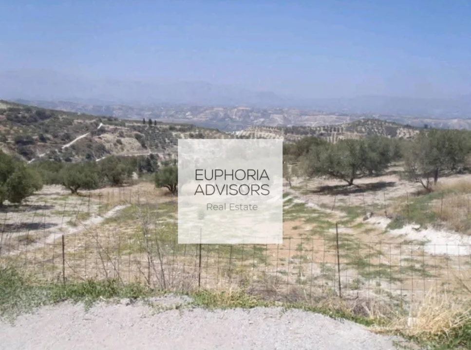 Πωλείται οικόπεδο 585τ.μ - 1