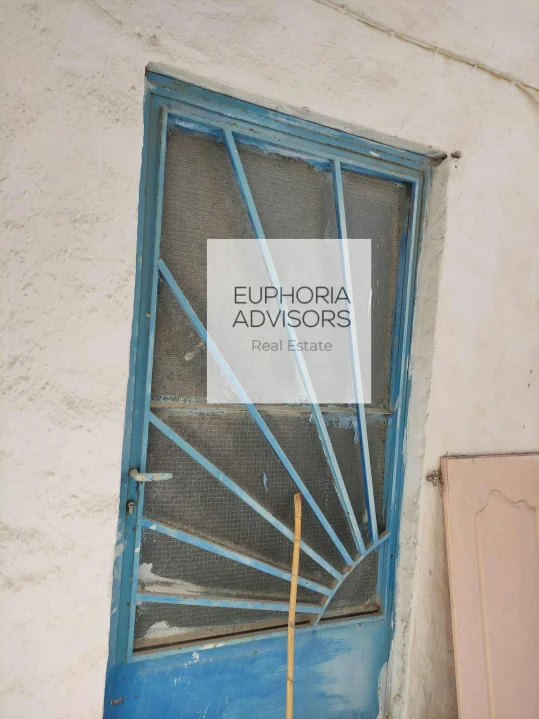 For sale is a 100 sq.m. detached building - 5